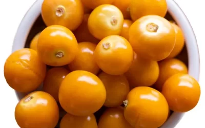 La uchuva: un tesoro encontrado