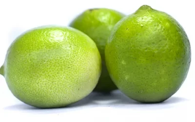 El limón: refrescante bebida en una calurosa tarde de verano.